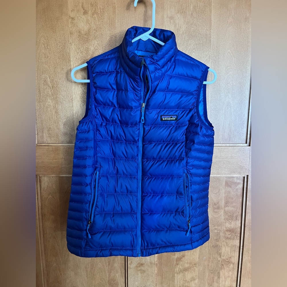 Royal blue Patagonia vest